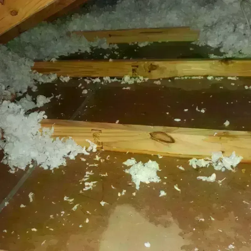 Attic Water Damage in Woodstock, GA