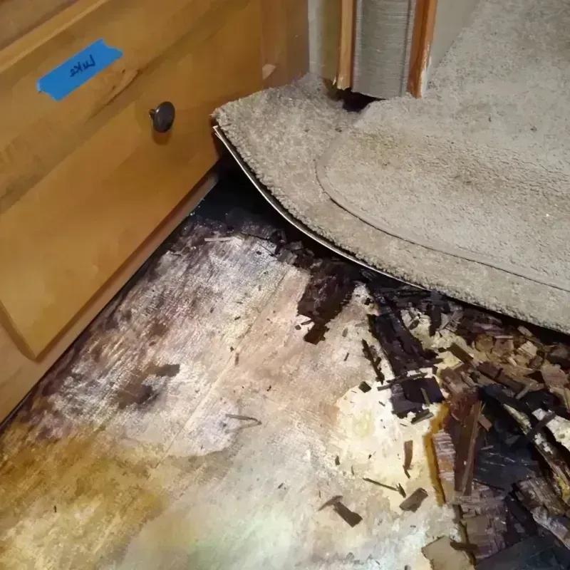 Wood Floor Water Damage in Woodstock, GA